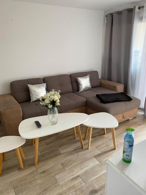 Appartamento Jolie En Plein Centre De La Bocca Cannes